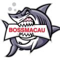 Telegram channel PUSAT PREDIKSI BOSSMACAU logo