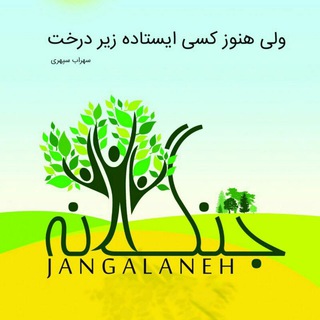 لوگوی کانال تلگرام jangalaneh — جنگلانه