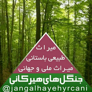 لوگوی کانال تلگرام jangalhayehyrcani — جنگل‌های هیرکانی