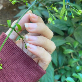 Logo of telegram channel japan_fulcar_mmsub — 18  Mmsub စာတန်းထိုးအောကား လိုးကား ဖူးကား