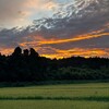 Логотип телеграм канала @japanseasons — Японские сезоны 🪭 Japan Seasons