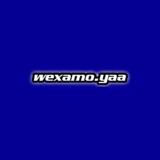 Логотип телеграм канала @japanwwwww — wᴇxᴀʍᴏ.yᴀᴀ🧚