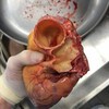 Telegram channel Xirurgiya | UZ 😷 logo