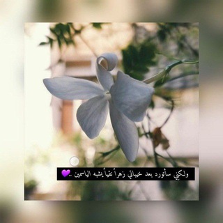 لوگوی کانال تلگرام jasminflower25 — كــ🌸ـزهره الياسمين ..
