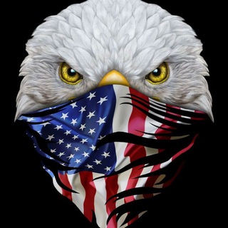 Logotipo do canal de telegrama jaymarkets - Jay Markets