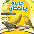 Logo saluran telegram jazireparandegan — 🦜🦜جزیره پرندگان🦜🦜