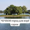 Логотип телеграм канала @jecheon_koryosaram — Чечхон-город для корё сарам