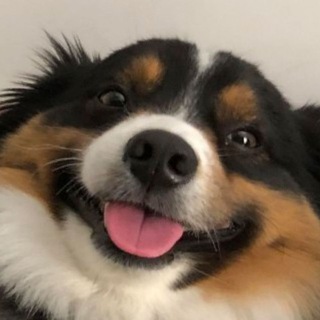 Logo saluran telegram jeefes — Гефки