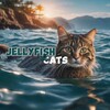Logo of telegram channel jellyfishcats1 — Jellyfish.cats🪼
