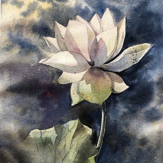 Логотип телеграм канала @jennimak — Jennimak