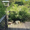 Логотип телеграм канала @jestercapsn — ПЕРЕЕЗД 🌷小丑帽🧺 - колпак шута