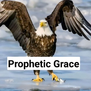የቴሌግራም ቻናል አርማ jesusislord1000 — Prophetic Grace channel 😍😱🔥🇪🇹™️