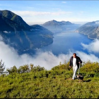 Logo des Telegrammkanals jesusmachtdichfrei - DieWahrheitmachtdichfrei! Wenn euch nun der Sohn frei machen wird, so seid ihr wirklich frei.