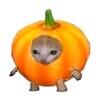 Логотип телеграм канала @jetnizestream — ДЖЕТНАЙЗ / JETNIZE 👽