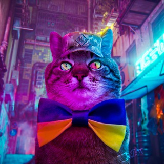 Логотип телеграм канала @jewcat — jewcat