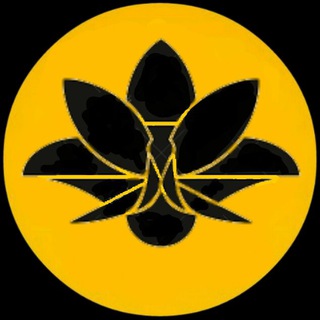 Telegram channel ° jhanpower 📣 logo