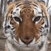 电报频道的标志 jhnb16384 — 死水互打频道