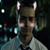 Логотип телеграм канала @jimmyrosie77 — Убежище Роз 2