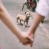 Telegram channel 热点恋综|奇葩情侣|变态剧情💥 logo