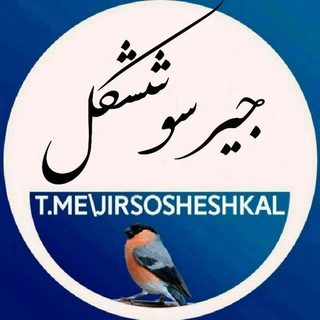 Logo saluran telegram jirsosheshkal — جیرسو ششکل😷