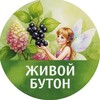 Логотип телеграм канала @jivoi_buton — ЖИВОЙ БУТОН | цветы и ягоды | Тюкалинск