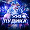 Логотип телеграм канала @jizn_ludikatgk — Жизнь лудика