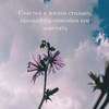 Логотип телеграм канала @jiznkakchastie — ЖИЗНЬ КАК СЧАСТЬЕ