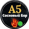 Логотип телеграм канала @jjgjnyt — А5 Сосновый Бор