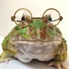 Логотип телеграм канала @jobkashop — 🍄🌿Fúngolwen✨🪲