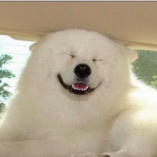 Логотип телеграм канала @jobkzn — Работа в Казани