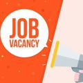 Logo of telegram channel jobvacancymyanmar — Job Vacancies for Myanmar People