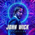 Logo saluran telegram johnwick0090 — ☬𝐉ᴏʜɴ༒ᴡɪᴄᴋ☬