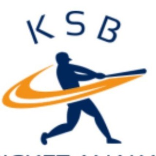 Logo of telegram channel joinchannelforcricketwinningtips — K S B Winning Tips 👇👇👇👇