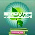 Logo saluran telegram jomaalat_nab — جملات ناب