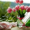 لوگوی کانال تلگرام jomalate10rishteri — رنگت روخدااااایی‌ کن