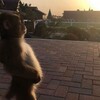 Логотип телеграм канала @journalparser — ЯРИК.ETH (FREE)