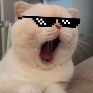 电报频道的标志 jpcccat — JP鱼塘CVV🇯🇵 ㍿ 💳