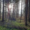 Логотип телеграм канала @jsccringe — JSC | Jerzy's Stream of Consciousness