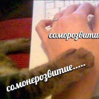 Логотип телеграм канала @jsfordummies — Самонеразвитие