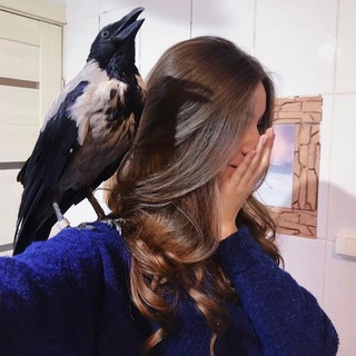 Логотип телеграм канала @juliaornitolog — Julia Ornitolog | Лечение птиц