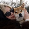 Логотип телеграм канала @jullaws — jullaws & shibes