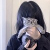 Логотип телеграм канала @julmeiv — #котик.