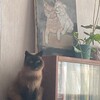 Логотип телеграм канала @julwwwww — Середа