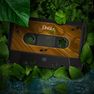 Логотип телеграм канала @jungle_music — JungleMusic