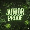 የቴሌግራም ቻናል አርማ junior_proof — 𝙹𝚄𝙽𝙸𝙾𝚁 𝙿𝚁𝙾𝙾𝙵