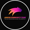 Logo of telegram channel juniorcommunityteam — 𝐉𝐔𝐍𝐈𝐎𝐑 𝐂𝐎𝐌𝐌𝐔𝐍𝐈𝐓𝐘 𝐓𝐄𝐀𝐌🔥