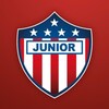 Логотип телеграм канала @junioriva — Junior