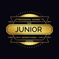 Logo saluran telegram juniorpshk — JUNIOR P SH K MATBUOT KANALI
