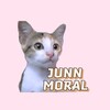 Logo of telegram channel junnmoral — JUNN MORAL