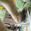 Логотип телеграм канала @juro_l — тёмное место гульки️🐈‍⬛️